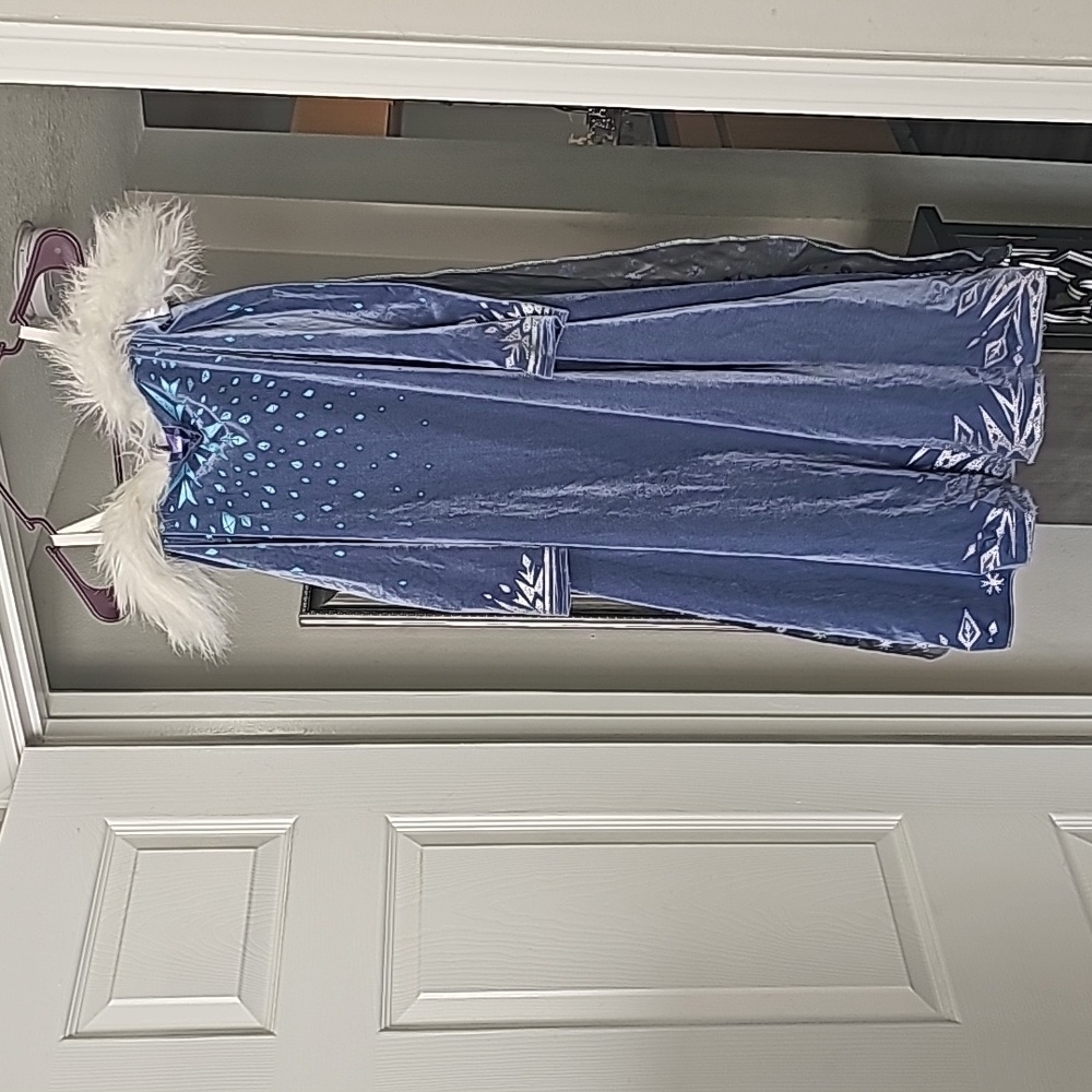 Exclusive Disney Elsa dress/costume